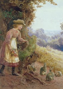 A Quiet Corner